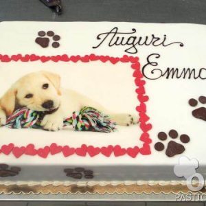 Torta Animali compleanno