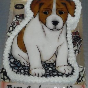 Torta Animali compleanno