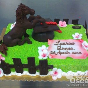 Torta per Laurea