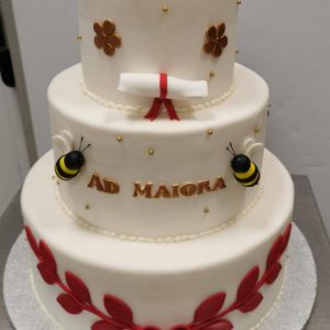 Torta per Laurea